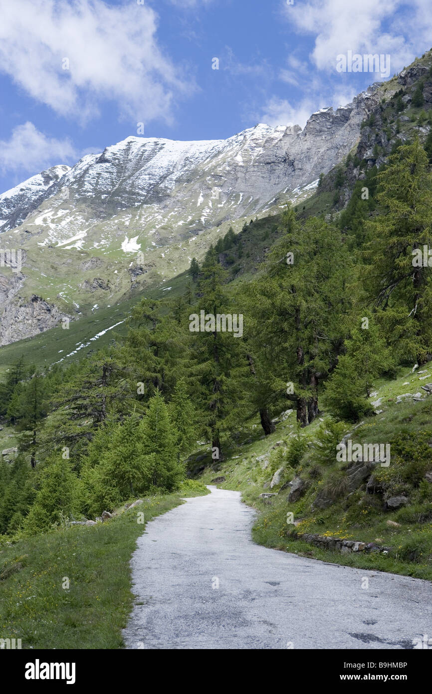 La Svizzera Tessin Valle Maggia Val Sambuco mountain-strade Alpi Alpi cime cime di montagna paesaggio di montagna mountain-estati Foto Stock