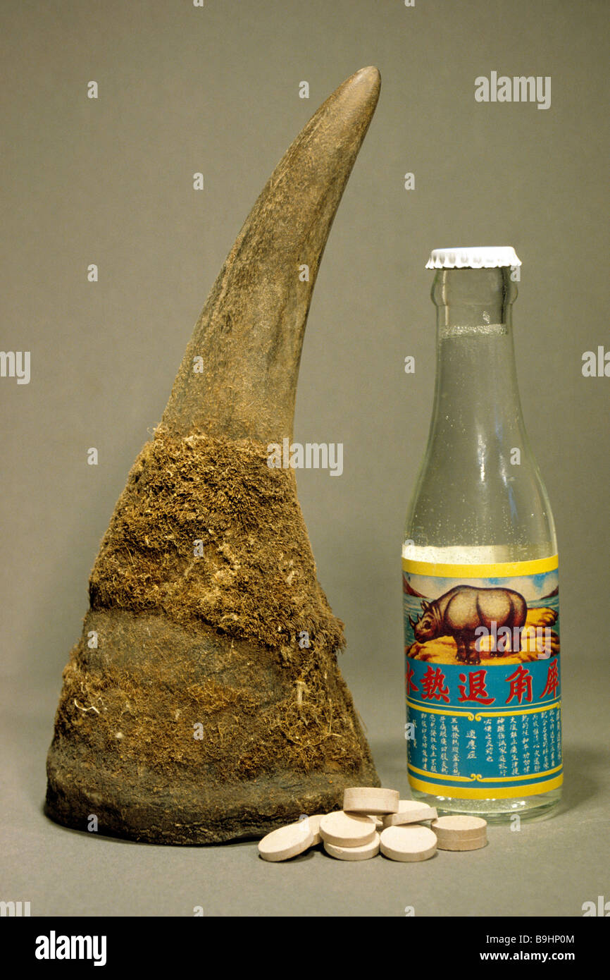Corno di rinoceronte, pillole e bevanda fatta dalla stessa Foto Stock