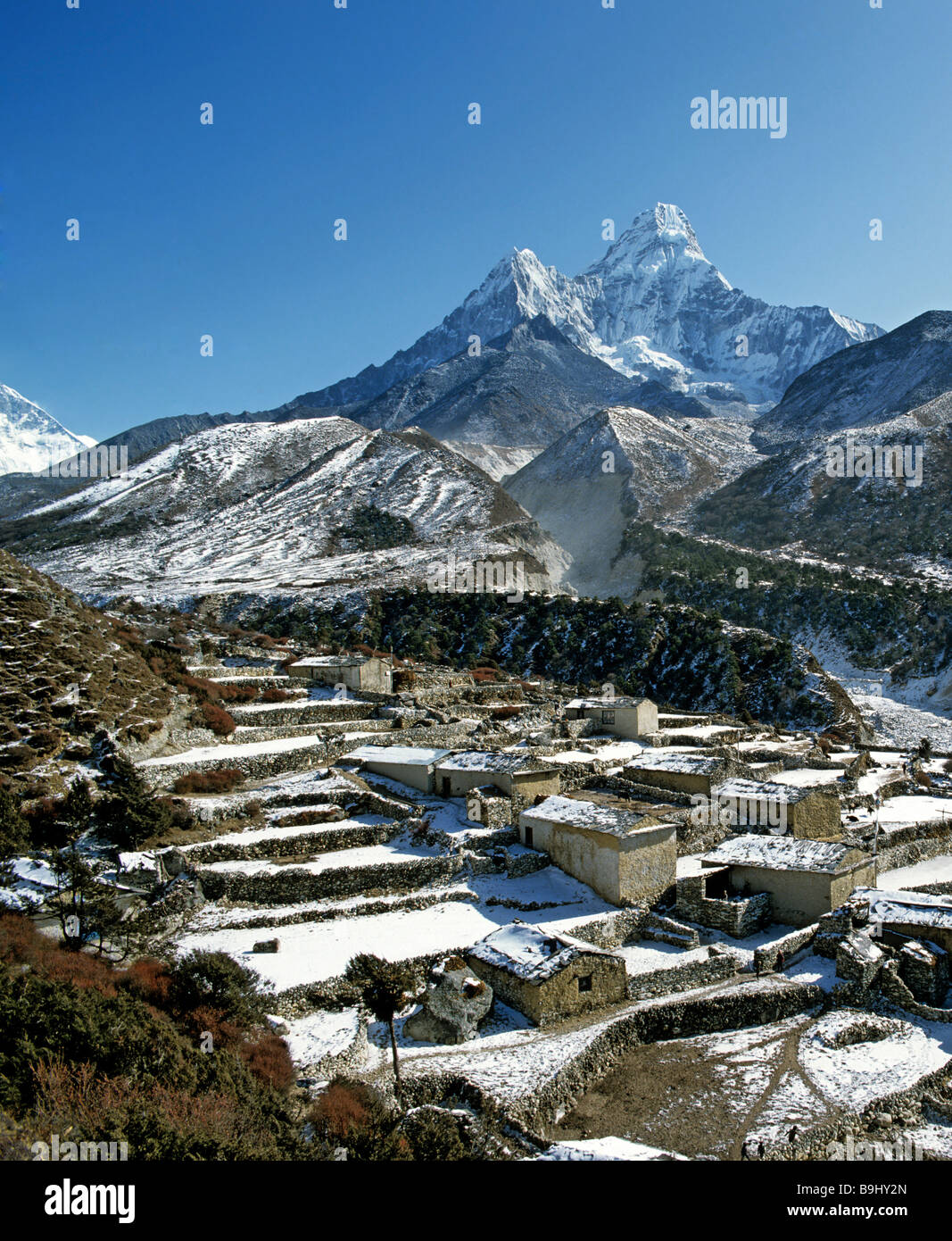 Campi terrazzati vicino a Pangboche, monte Ama Dablam, 6856 metri, secondo picco 5.563 metri, Khumbu, Himalaya, Nepal, Sud Asia Foto Stock