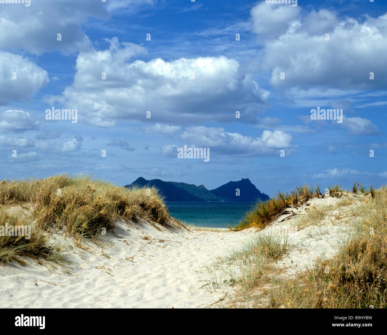 Dune e oceano, Isola del nord, Nuova Zelanda Foto Stock