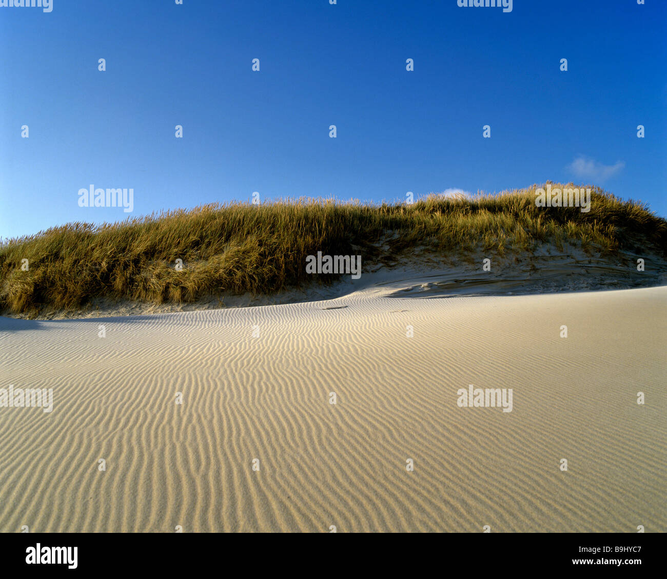 Te Paki dune, Cape Reinga, Isola del nord, Nuova Zelanda Foto Stock