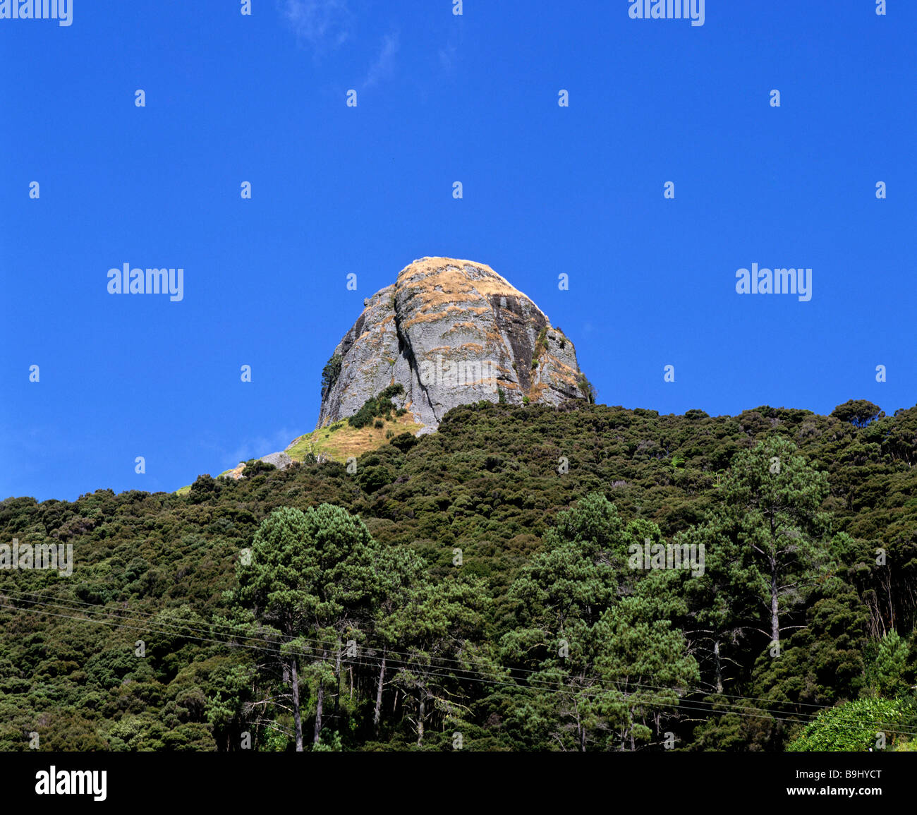 Duke's naso, roccia sopra paesaggio subtropicale, Whangaroa, Isola del nord, Nuova Zelanda Foto Stock
