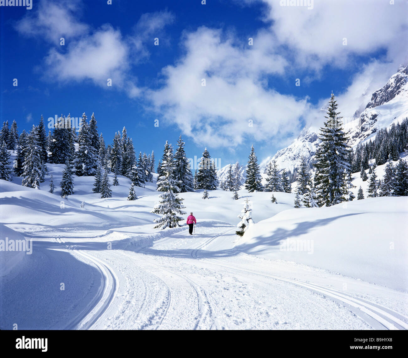 Abeti, foresta, coperto di neve paesaggio invernale, neve fresca, sci di fondo trail, Salzburger Land, Austria Foto Stock