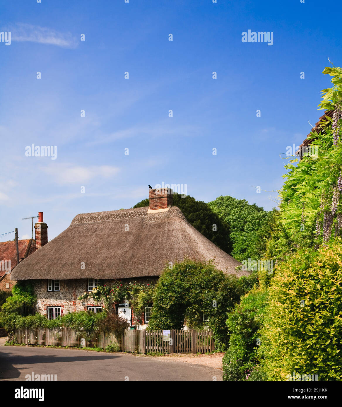 Cottage con tetto in paglia in Singleton West Sussex Foto Stock