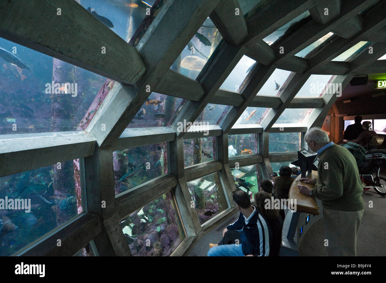 La cupola subacquea, Seattle Aquarium di Seattle, Washington, Stati Uniti d'America Foto Stock