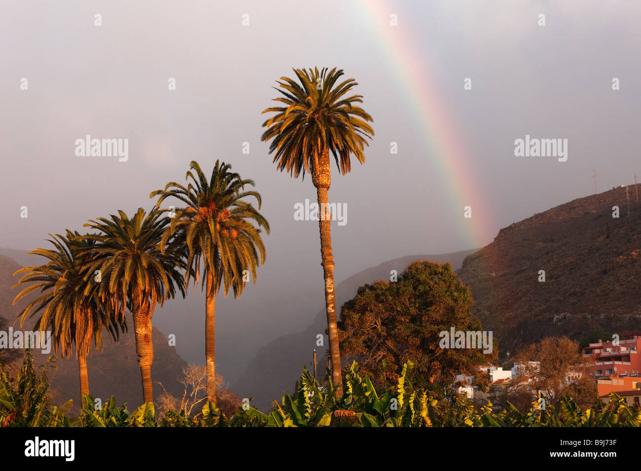 Palme da dattero (Phoenix dactylifera) e rainbow in Playa de Santiago, La Gomera, isole Canarie, Spagna, Europa Foto Stock