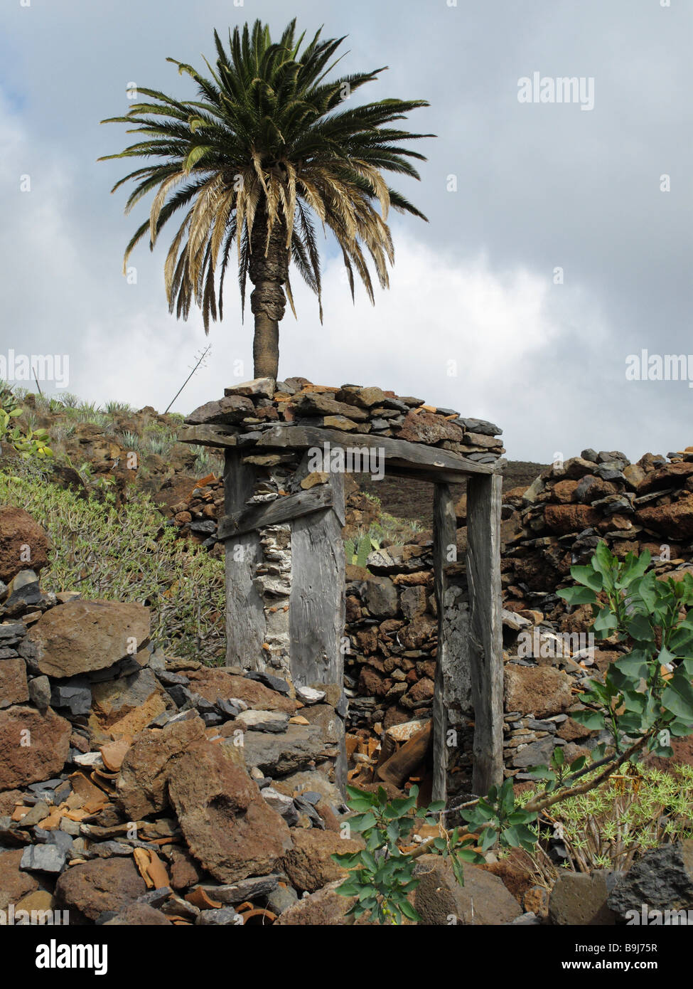 Infisso di una desolazione e un albero di palma in Contreras vicino a Playa Santiago, La Gomera, isole Canarie, Spagna, Europa Foto Stock