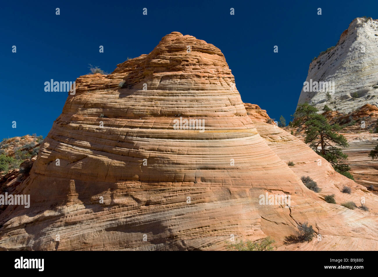 Pietra arenaria, Hill Top, Mont Carmel Highway, il Parco Nazionale di Zion, Utah, Stati Uniti d'America Foto Stock