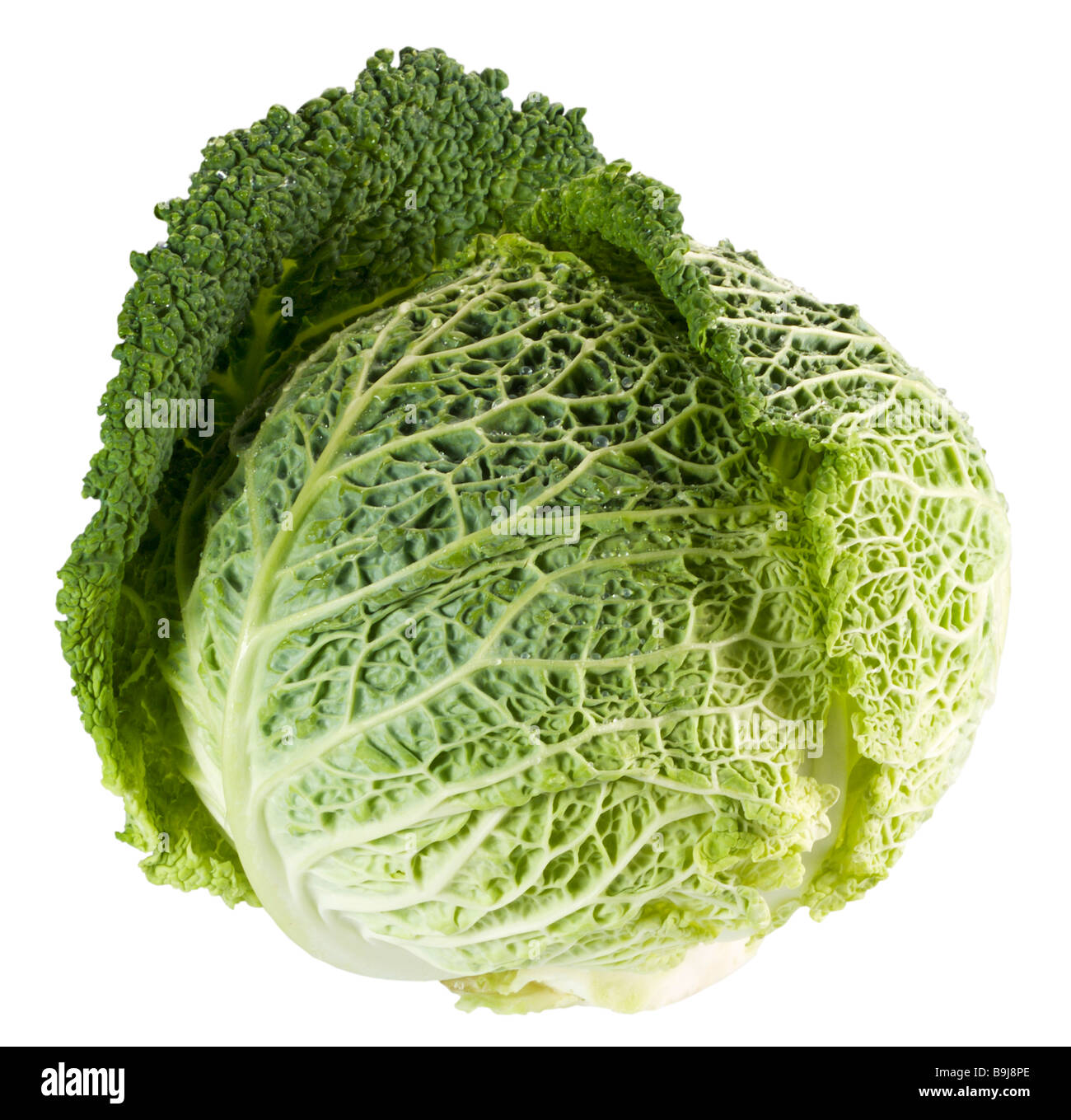 Cavolo verza testa(percorso di clipping) Foto Stock