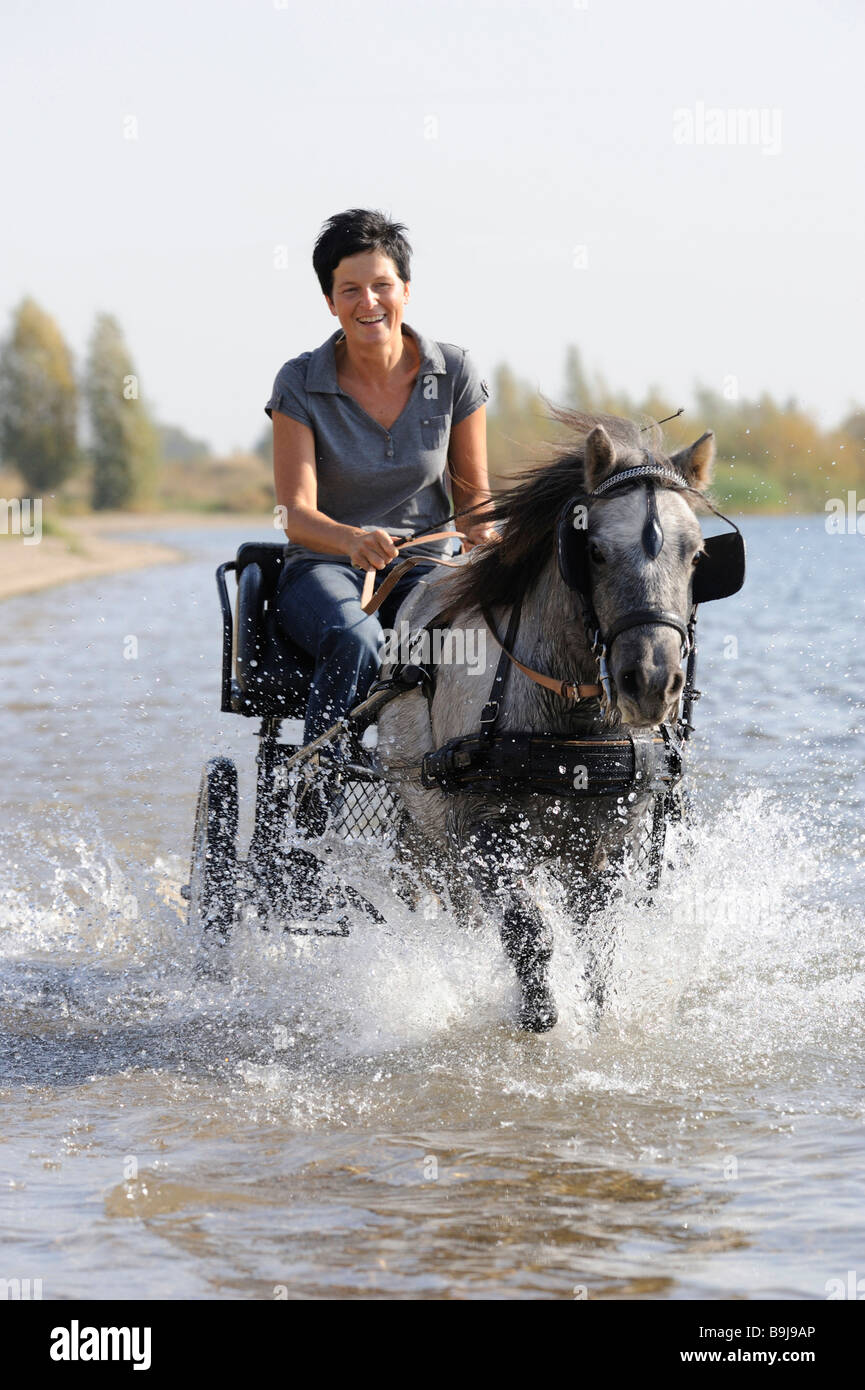 Giovane donna cavalcando attraverso l'acqua in un carrello Foto Stock