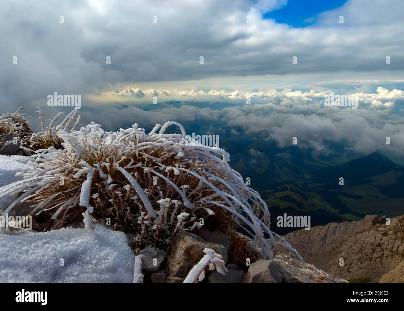 Vista dalla Appenzeller Alpi a Saentis, 2501 m sopra il livello del mare, Kanton St. Galler, Svizzera, Europa Foto Stock