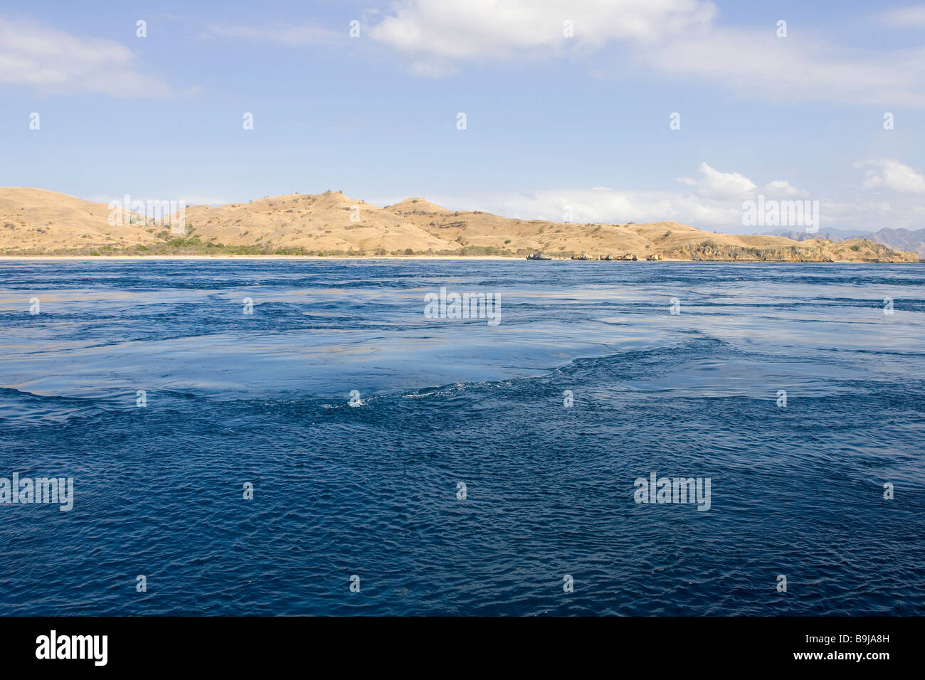 Forte corrente a causa di sciami sulla superficie dell'acqua, Indonsia, sud-est asiatico Foto Stock