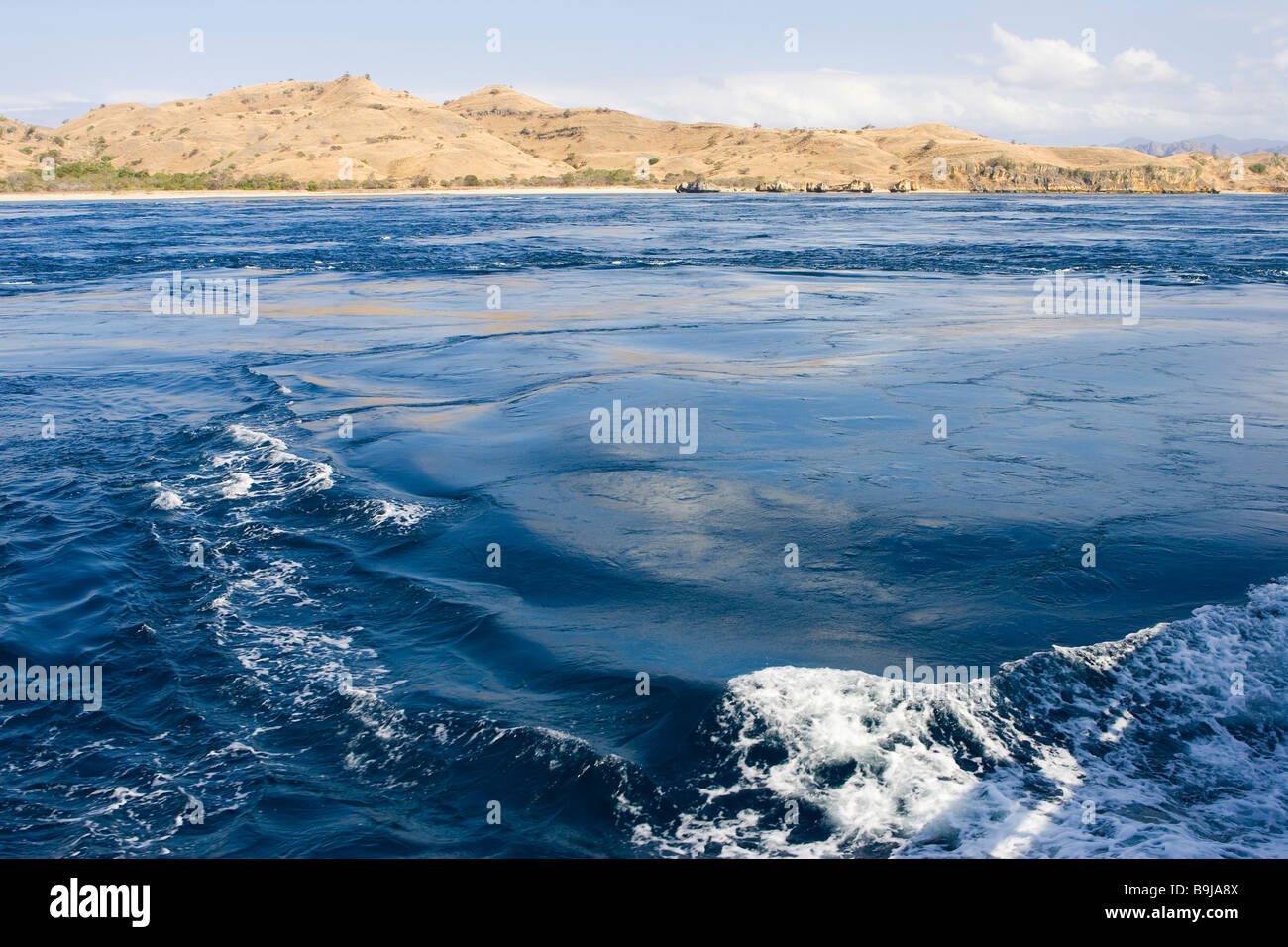 Forte corrente a causa di sciami sulla superficie dell'acqua, Indonsia, sud-est asiatico Foto Stock