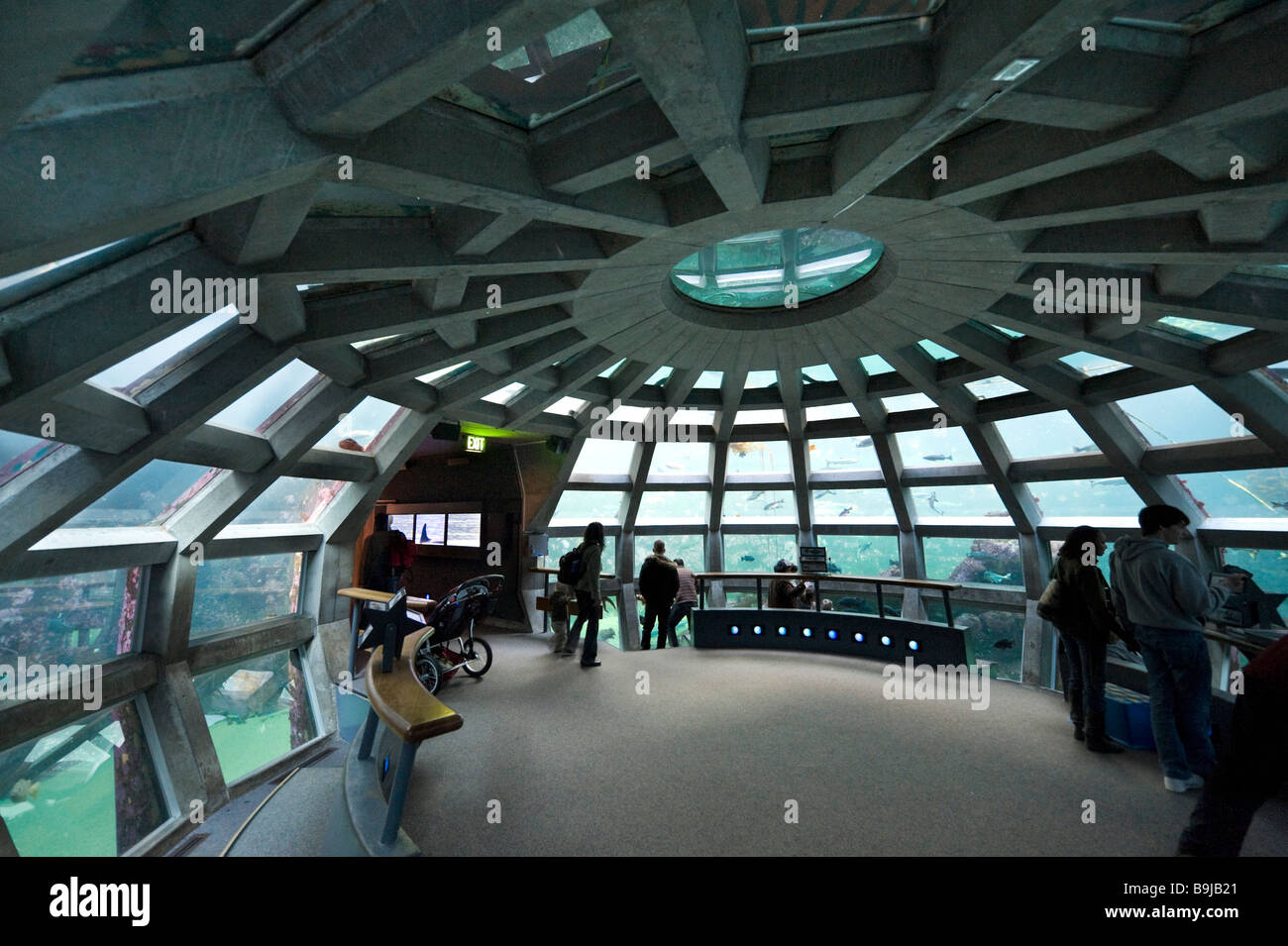 La cupola subacquea, Seattle Aquarium di Seattle, Washington, Stati Uniti d'America Foto Stock