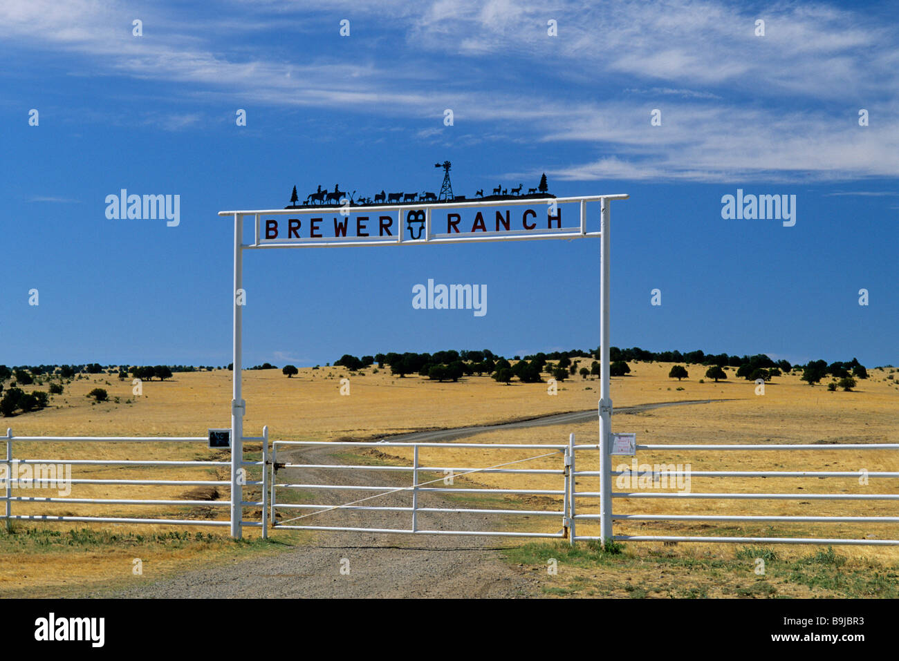Ferro battuto ranch gate a noi 380 autostrada vicino Carrizozo in Lincoln County New Mexico USA Foto Stock