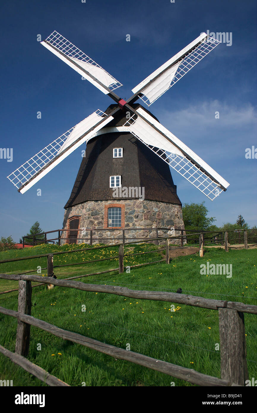 Mulino a vento olandese in Woldegk, Mecklenburg-Strelitz, Meclemburgo-Pomerania Occidentale, Germania, Europa Foto Stock