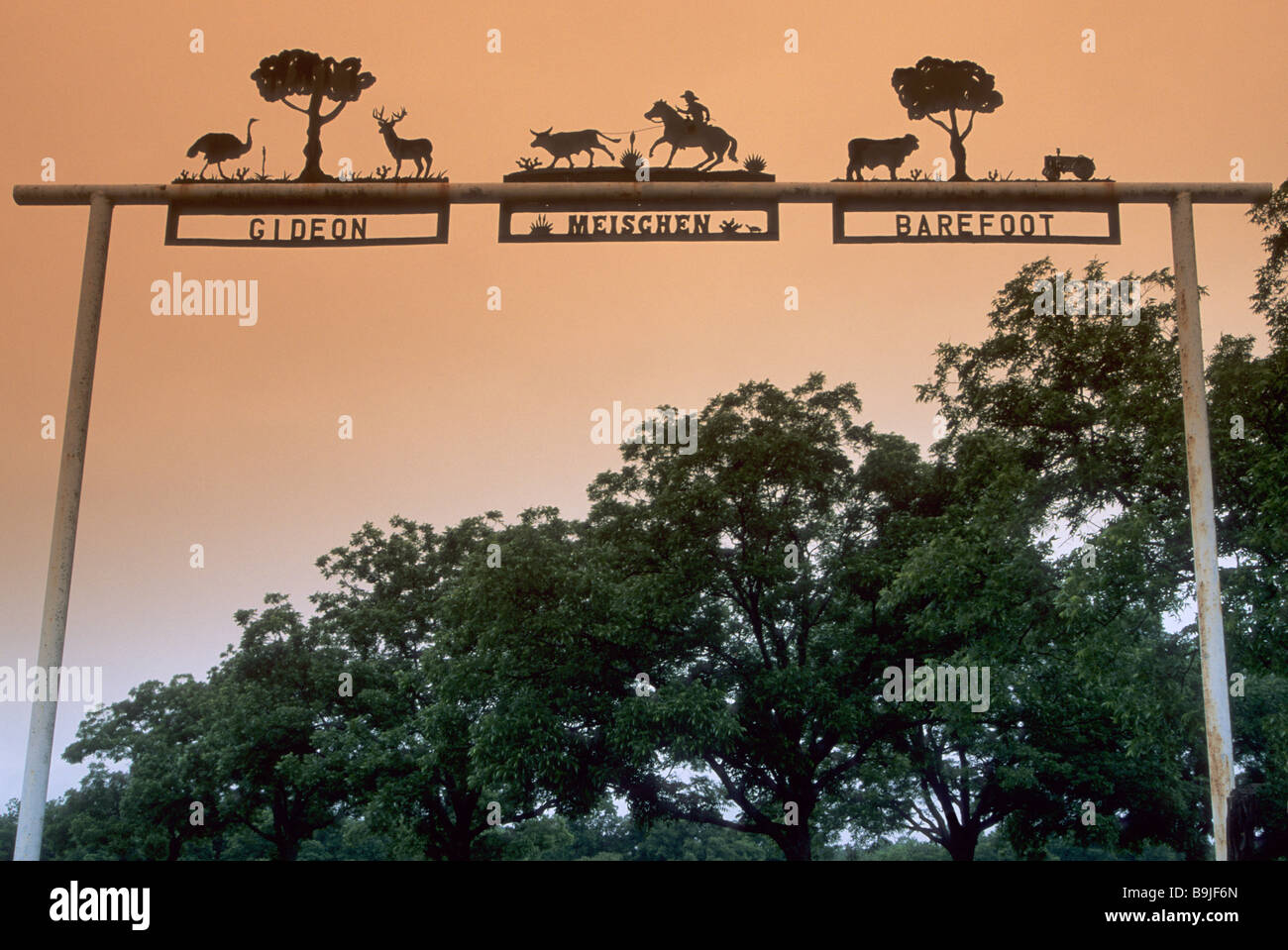 Ferro battuto firmare al ranch gate a FM 580 autostrada vicino a flettersi in corrispondenza di Edwards Plateau nella contea di Lampasas Texas USA Foto Stock