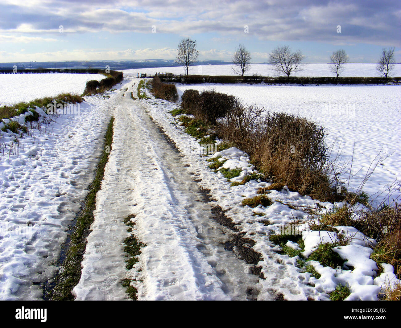 Un paese nevoso lane in Wickersley, Rotherham, Regno Unito Foto Stock