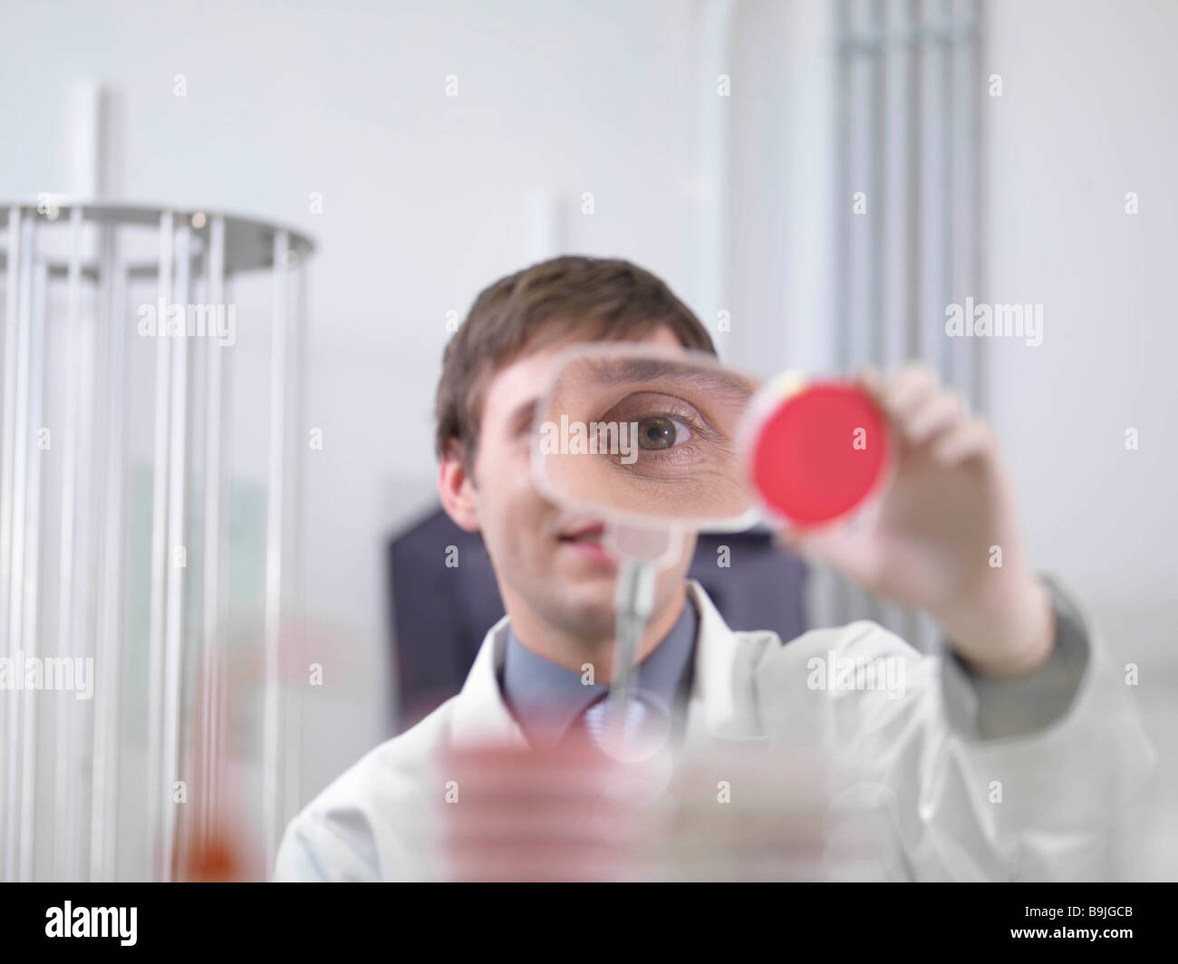 Tecnico di laboratorio con capsula di petri Foto Stock