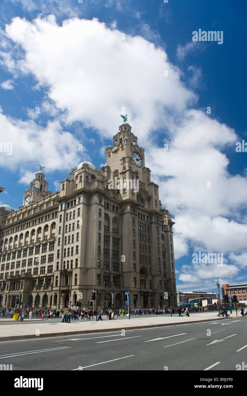 Il Liver Building città di Liverpool Merseyside Lancashire Northwest England Regno Unito GB Gran Bretagna Isole britanniche Foto Stock