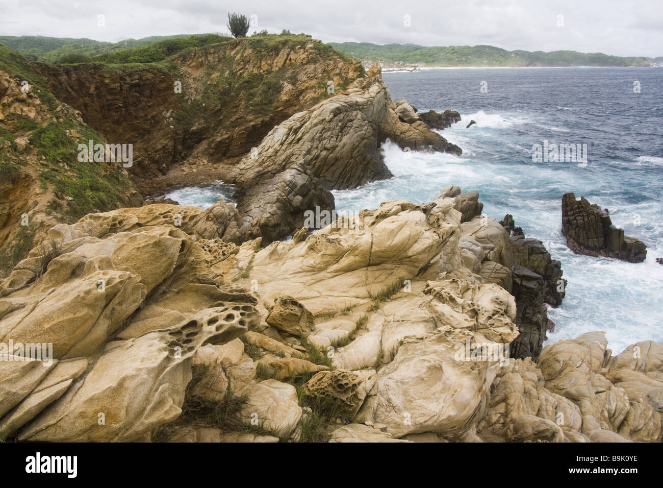 Onde infrangersi in scogliere rocciose lungo la costa del Pacifico nei pressi del villaggio di Mazunte, Oaxaca, Messico. Foto Stock