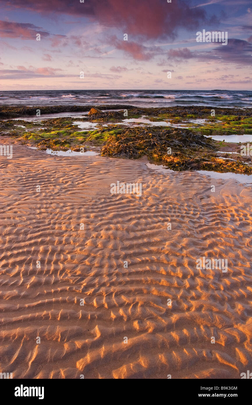 Guardando verso il Mare del Nord dalla spiaggia di Bamburgh sulla costa di Northumberland in serata. Fotografato in giugno Foto Stock