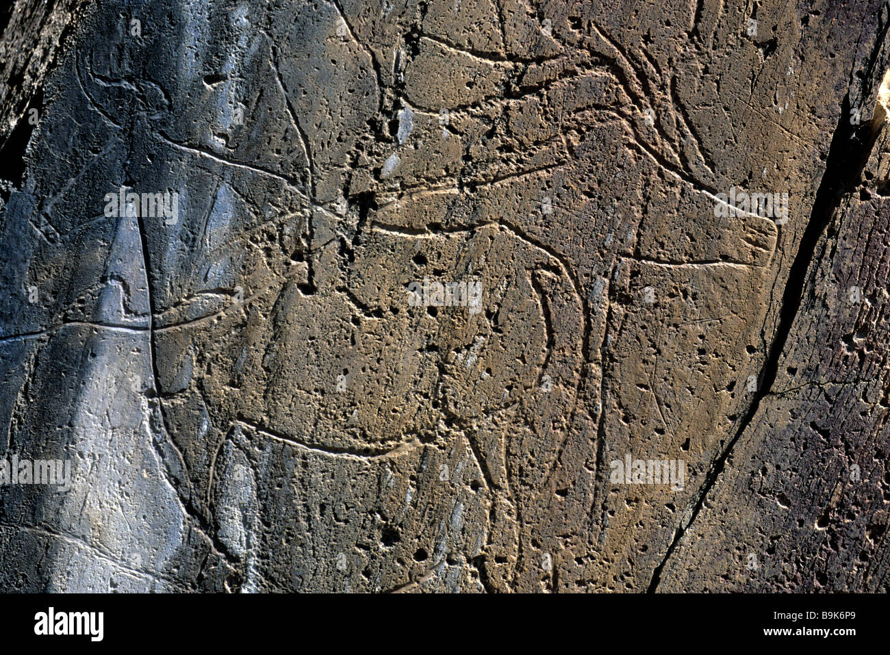 Il Portogallo, Valle del Douro, Vila Nova de Fos Côa, il parco archeologico della Valle di Côa, classificato come patrimonio mondiale dall' Foto Stock