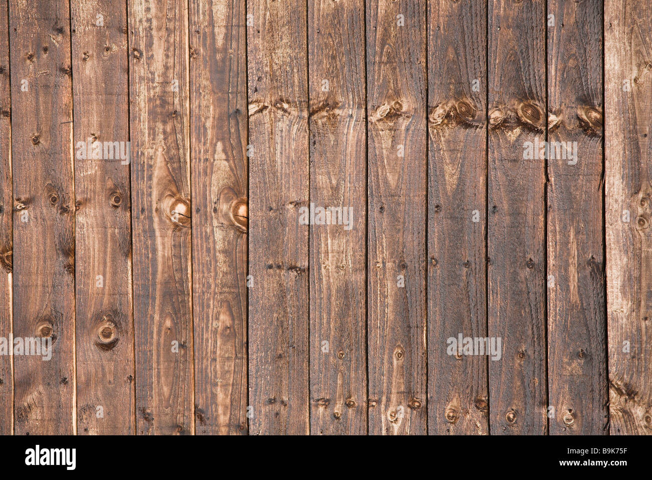 La sezione del legno di un giardino recinto trattate con creosoto conservante Foto Stock