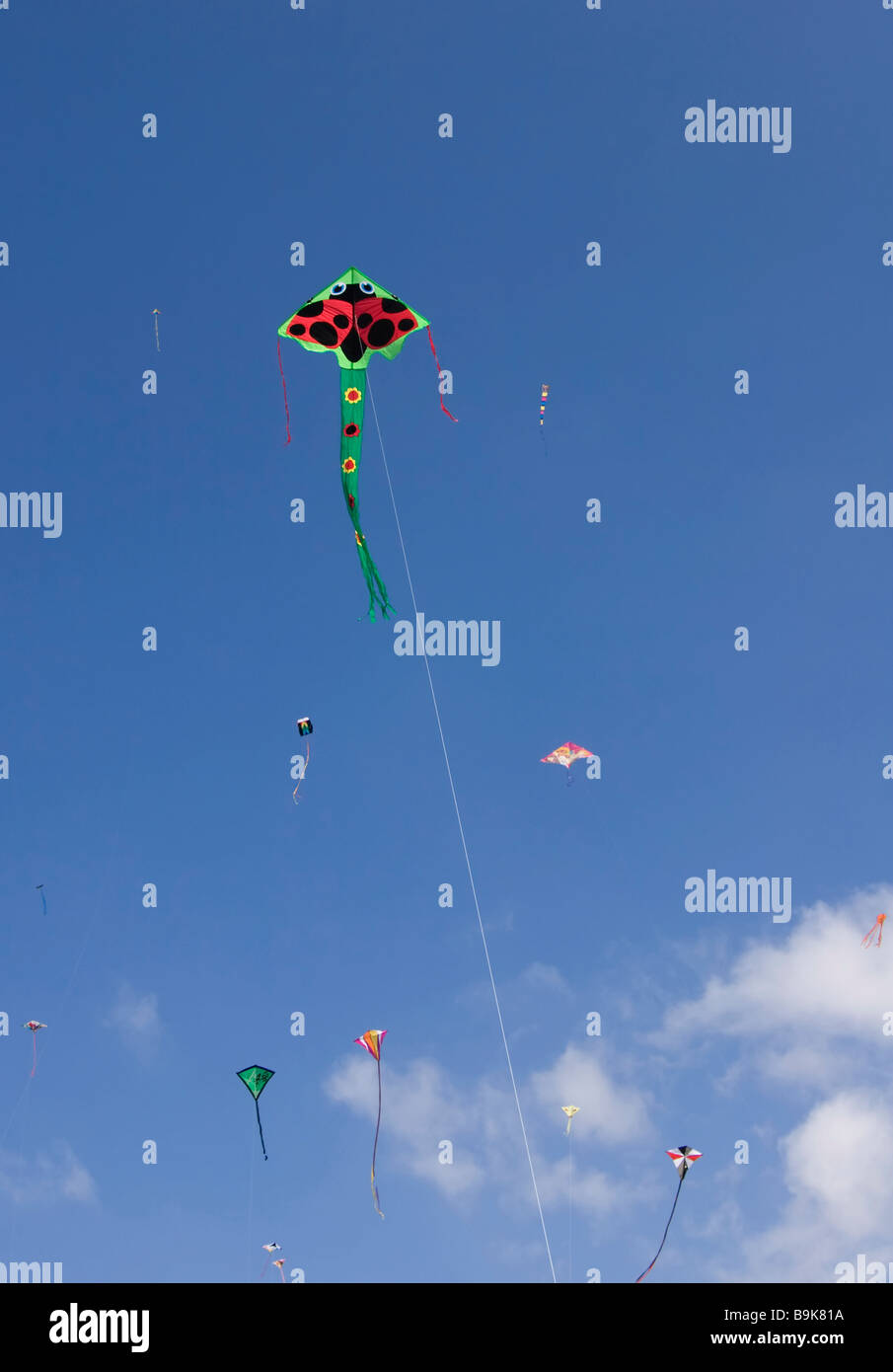 High flying kites contro un cielo blu Foto Stock
