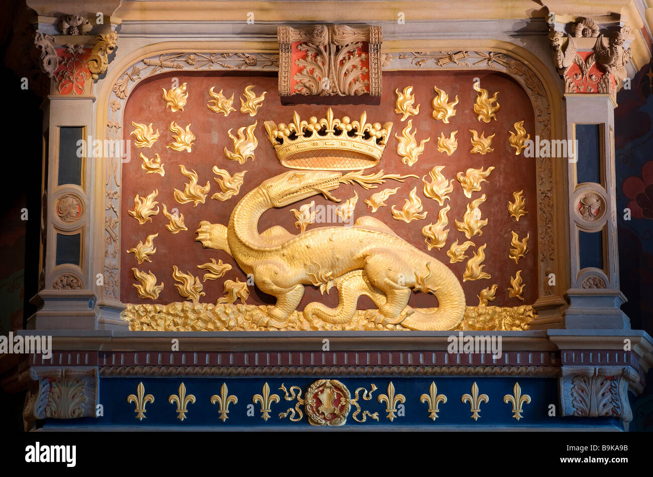 Francia, Loir et Cher, Chateau de Blois, SALAMANDER, Re Francesco I di Francia di Symbol Foto Stock