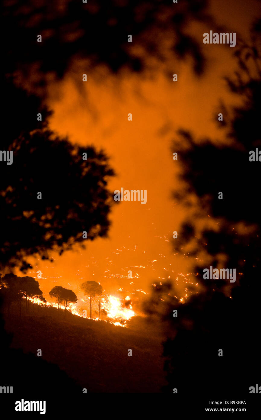 Bushfire nella Sierra de Mijas nella Spagna meridionale Foto Stock