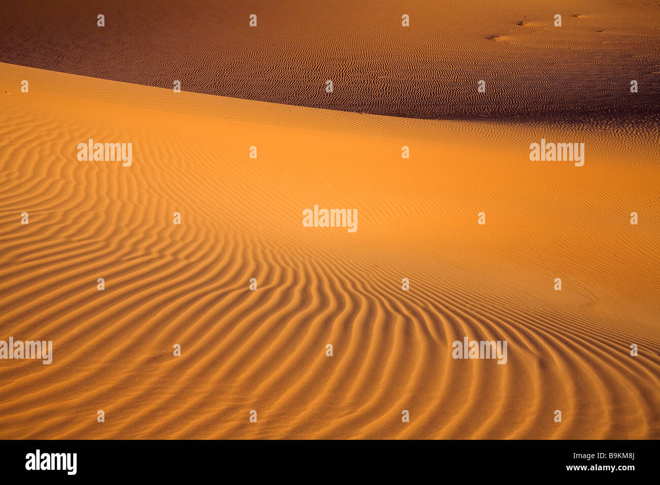 La Mauritania, Adrar, di sabbia e dune Foto Stock