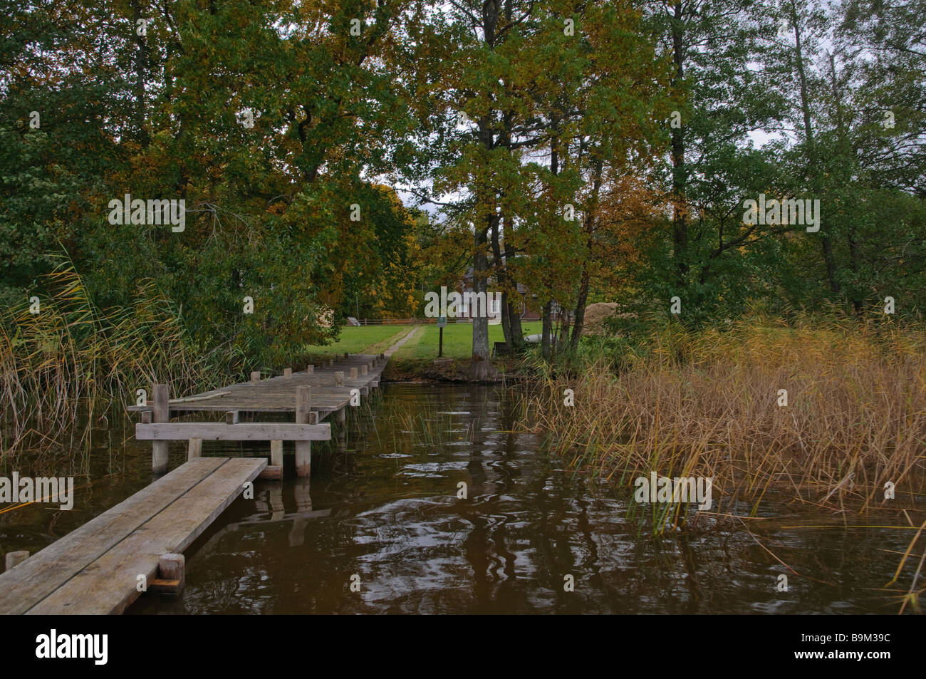 Tradizionale asse di legno-modo per accedere a barca a riva del lago Usma Moricsala isola Kurzeme Lettonia Foto Stock