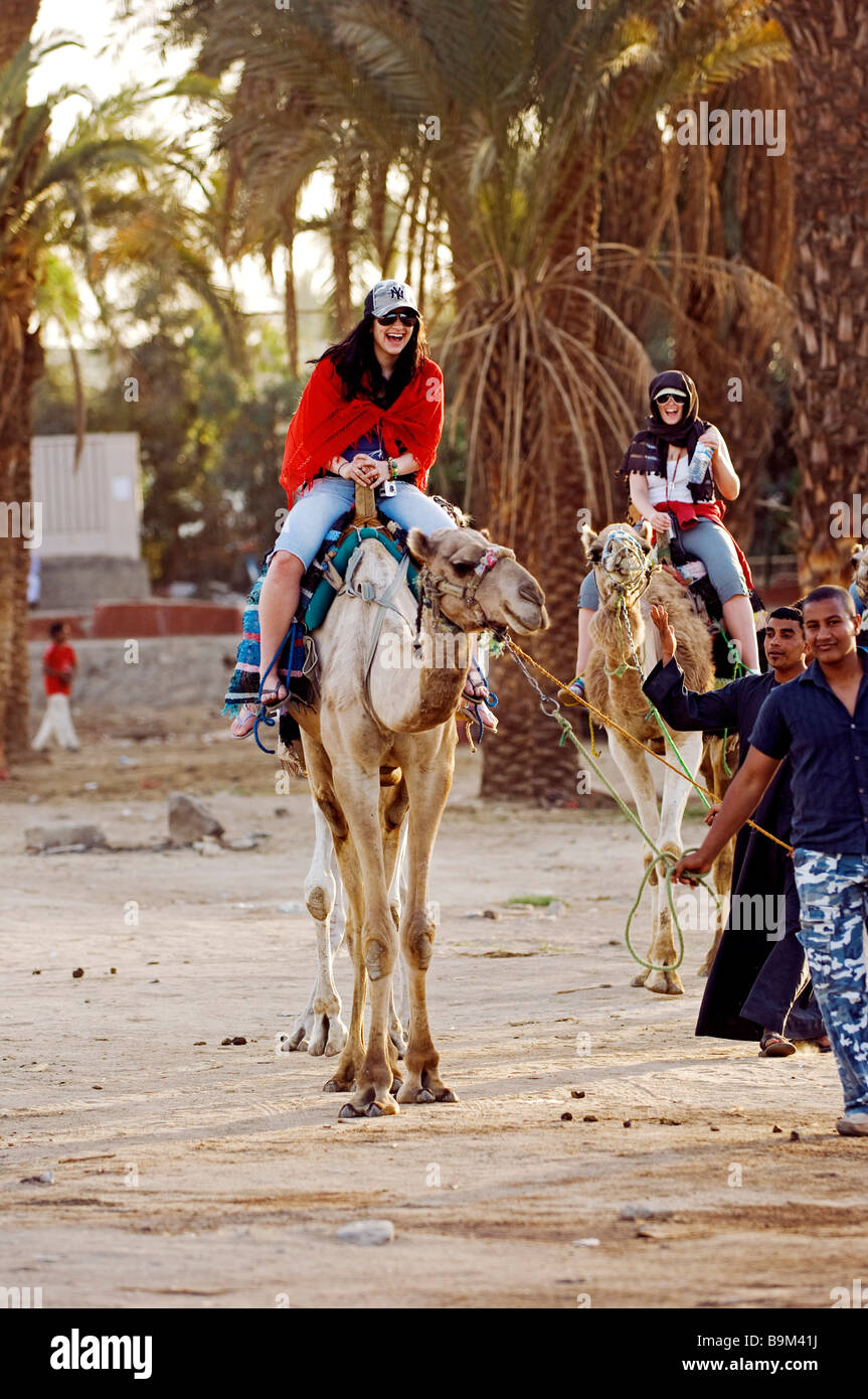 L'Egitto, la Valle del Nilo, Luxor, banca occidentale, dromedario ride Foto Stock