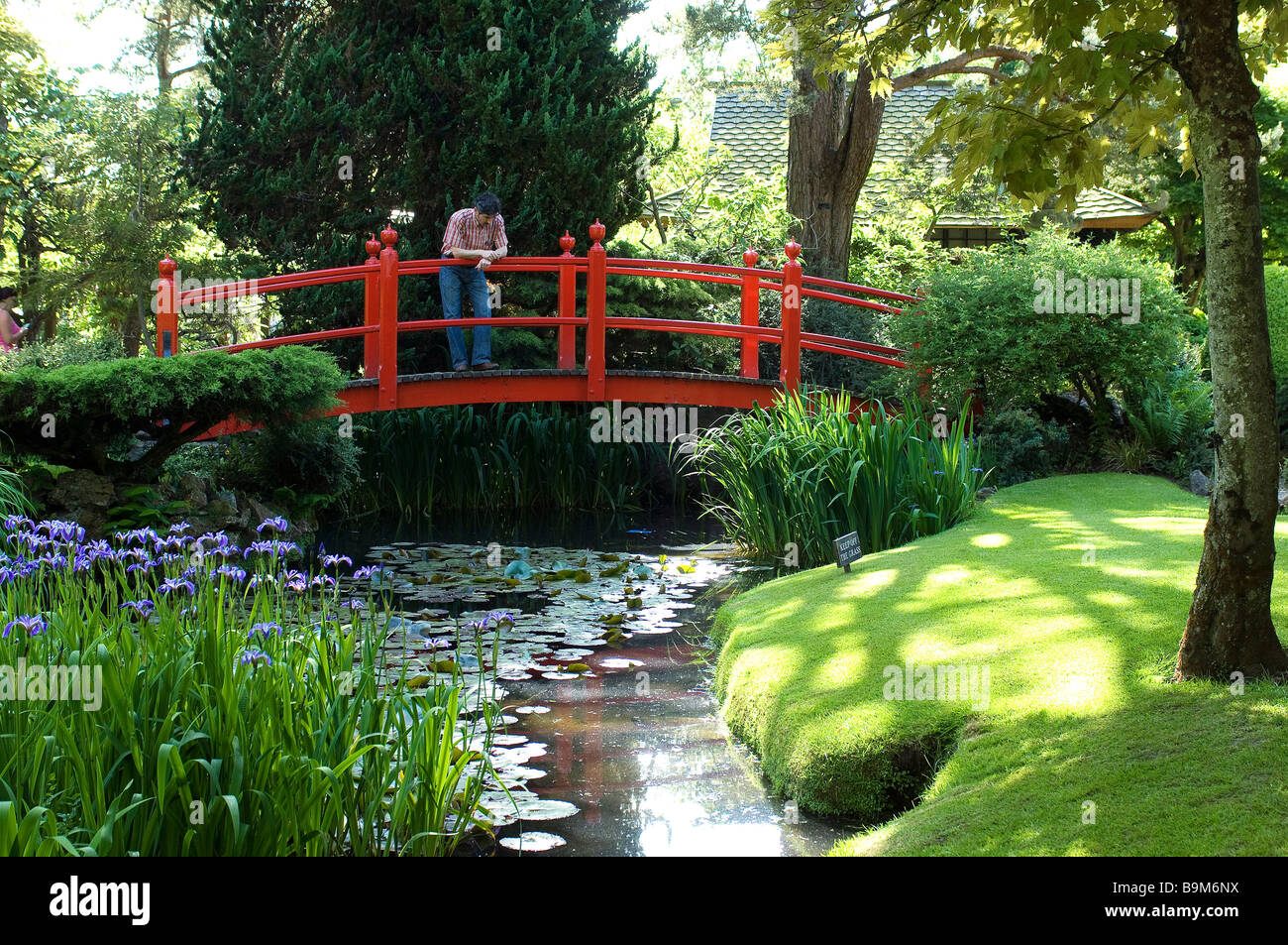 L'Irlanda, nella contea di Kildare, Tully, Irish National Stud, Giardini Giapponesi Foto Stock