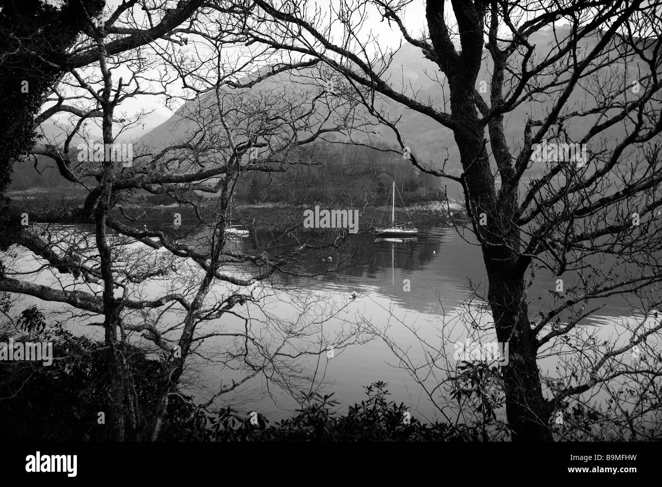 Black & White immagine,alberata isola loch scena,con la barca nel paesaggio. Foto Stock