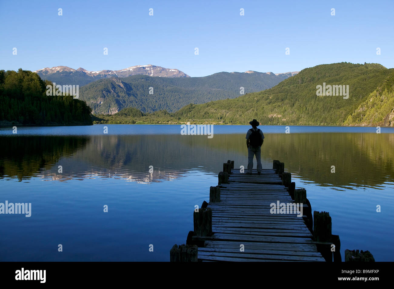 Argentina, Patagonia, Chubut Provincia, Los Alerces National Park, Lago Verde, Esquel Foto Stock