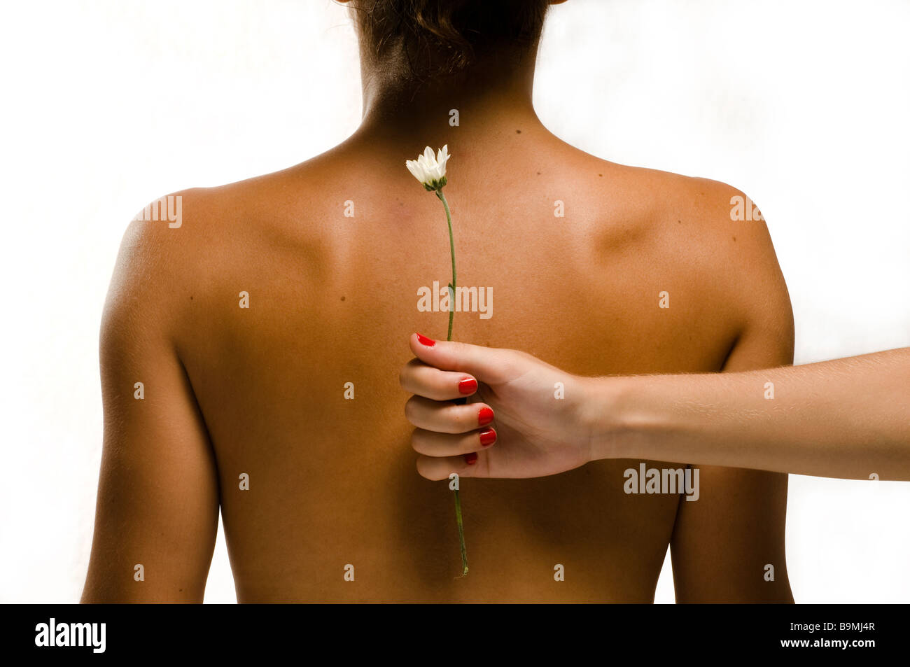 Donna con la schiena con un fiore bianco trattenuto da una mano con unghie rosse Foto Stock