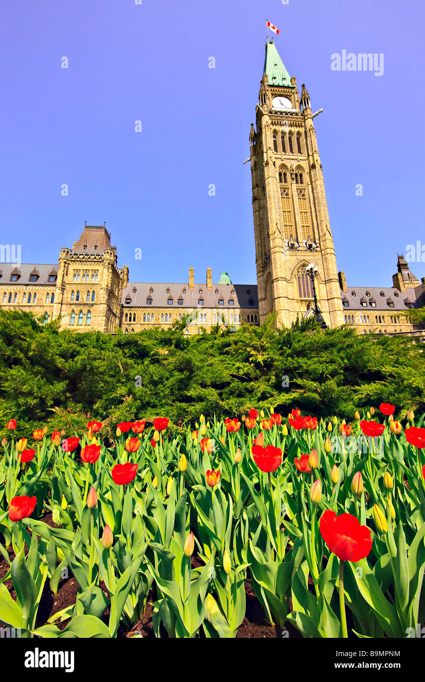 Blocco di Centro e di pace Torre di edifici del Parlamento e un giardino di tulipani sulla Collina del Parlamento,città di Ottawa, Ontario, Canada Foto Stock