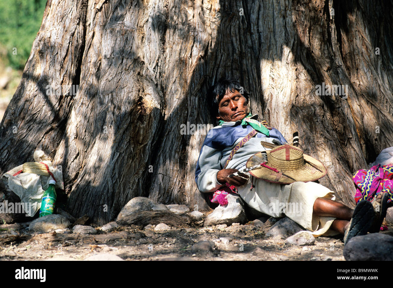 Messico, San Luis Potosi Stato, gli Indiani Huichol' pellegrinaggio, uomo Huichol prendendo riposo dopo un trattamento Foto Stock