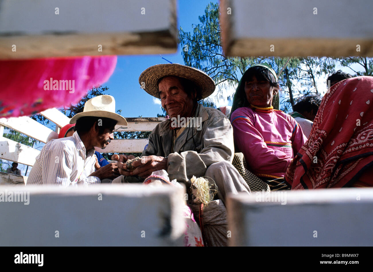 Messico, San Luis Potosi Stato, gli Indiani Huichol' pellegrinaggio, rendendo di unguento sul bordo del carrello Foto Stock