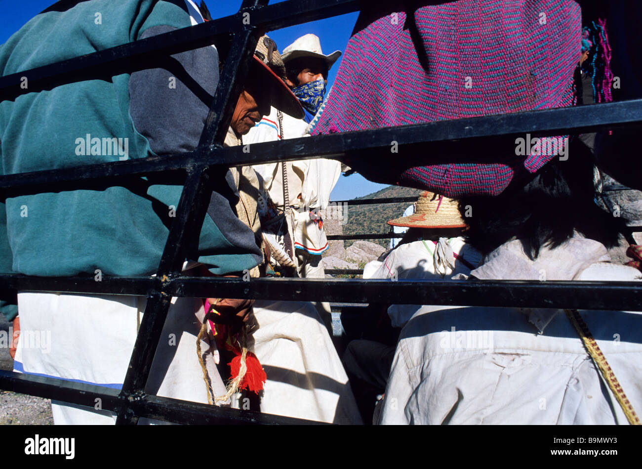 Messico, San Luis Potosi Stato, gli Indiani Huichol' pellegrinaggio, preparazione psicologica cerimonia nel carrello Foto Stock
