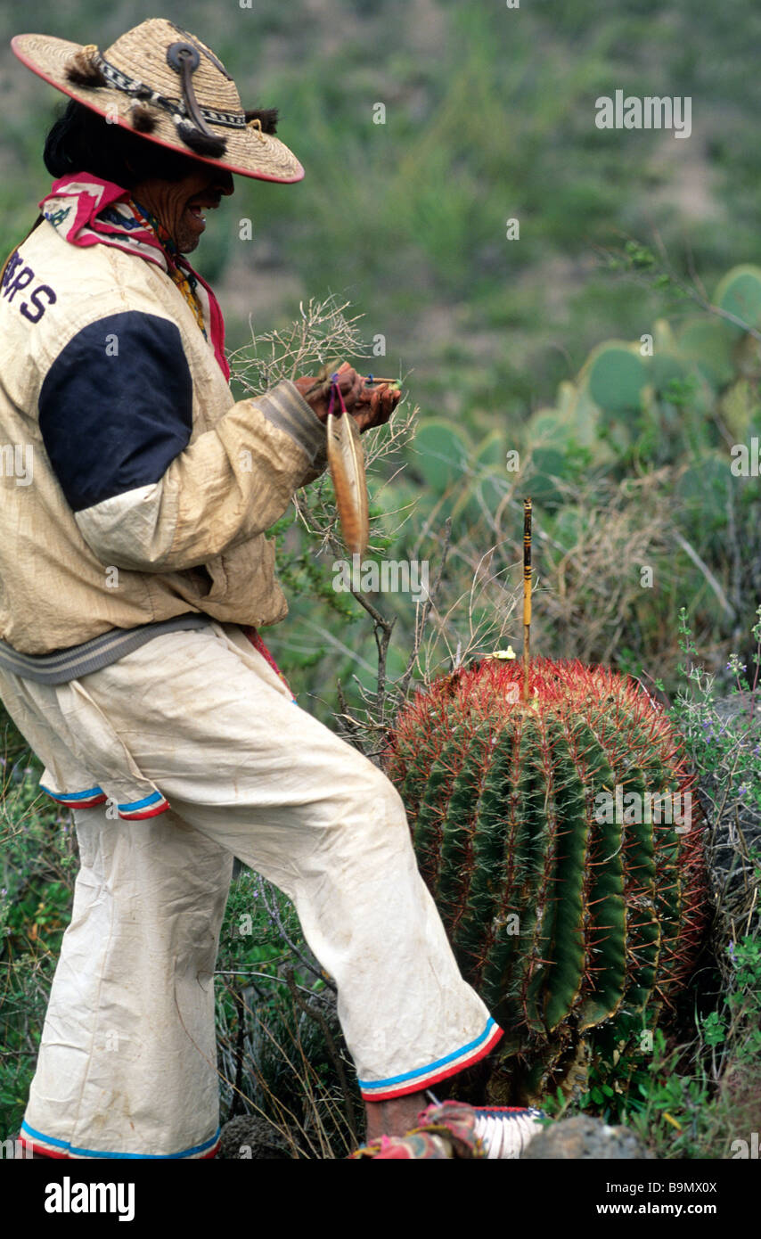 Messico, San Luis Potosi Stato, gli Indiani Huichol' pellegrinaggio, sciamanica rituale Foto Stock