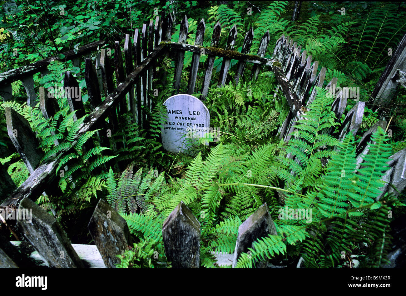 Stati Uniti, Alaska, passaggio interno, Skagway, gold digger' s grave Foto Stock