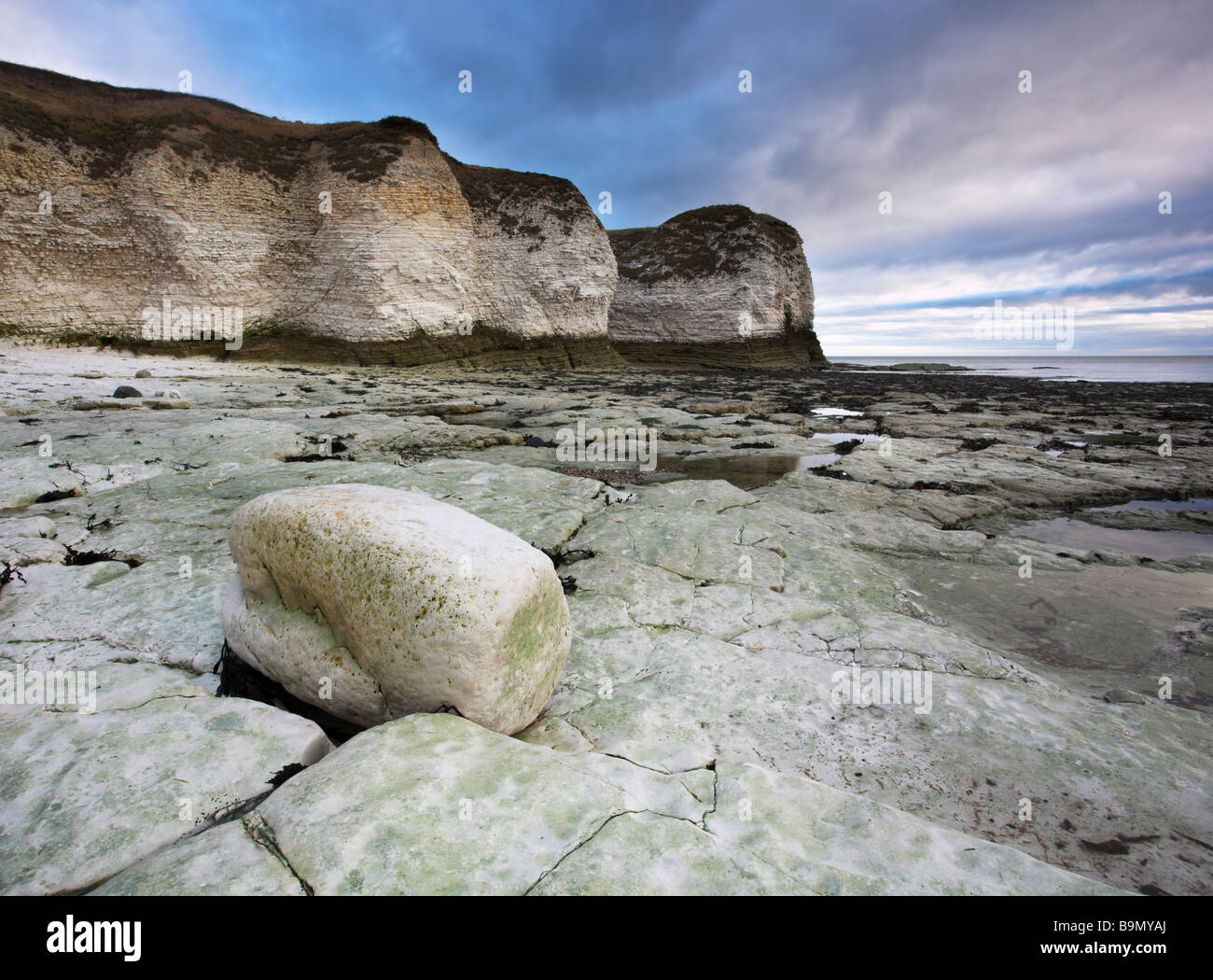 Quasi l'alba sul bianco gesso scogliere di Selwick Bay a Flamborough Head sulla costa dello Yorkshire East Yorkshire R.U. Foto Stock