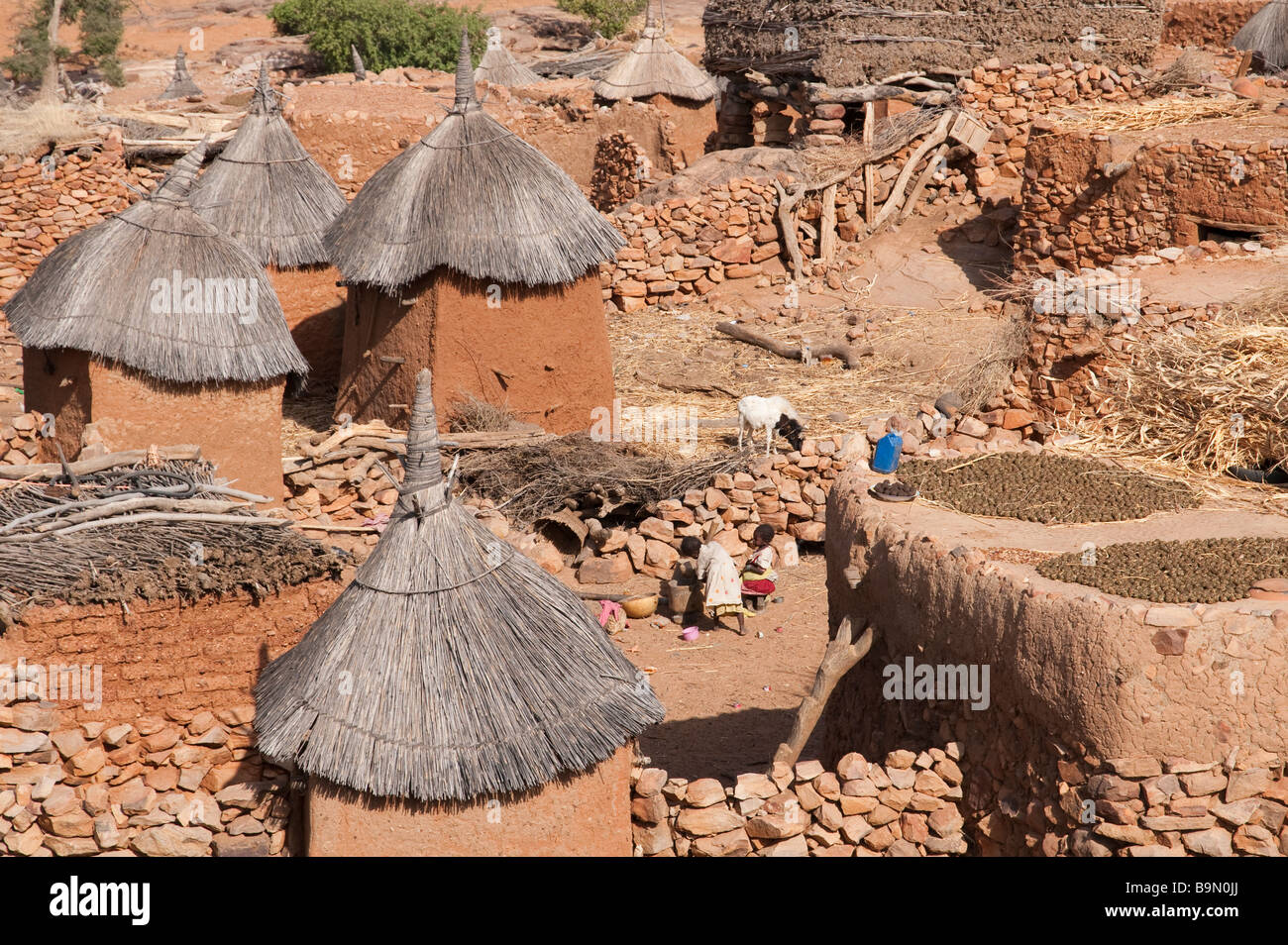 Africa occidentale Mali paese Dogon Foto Stock