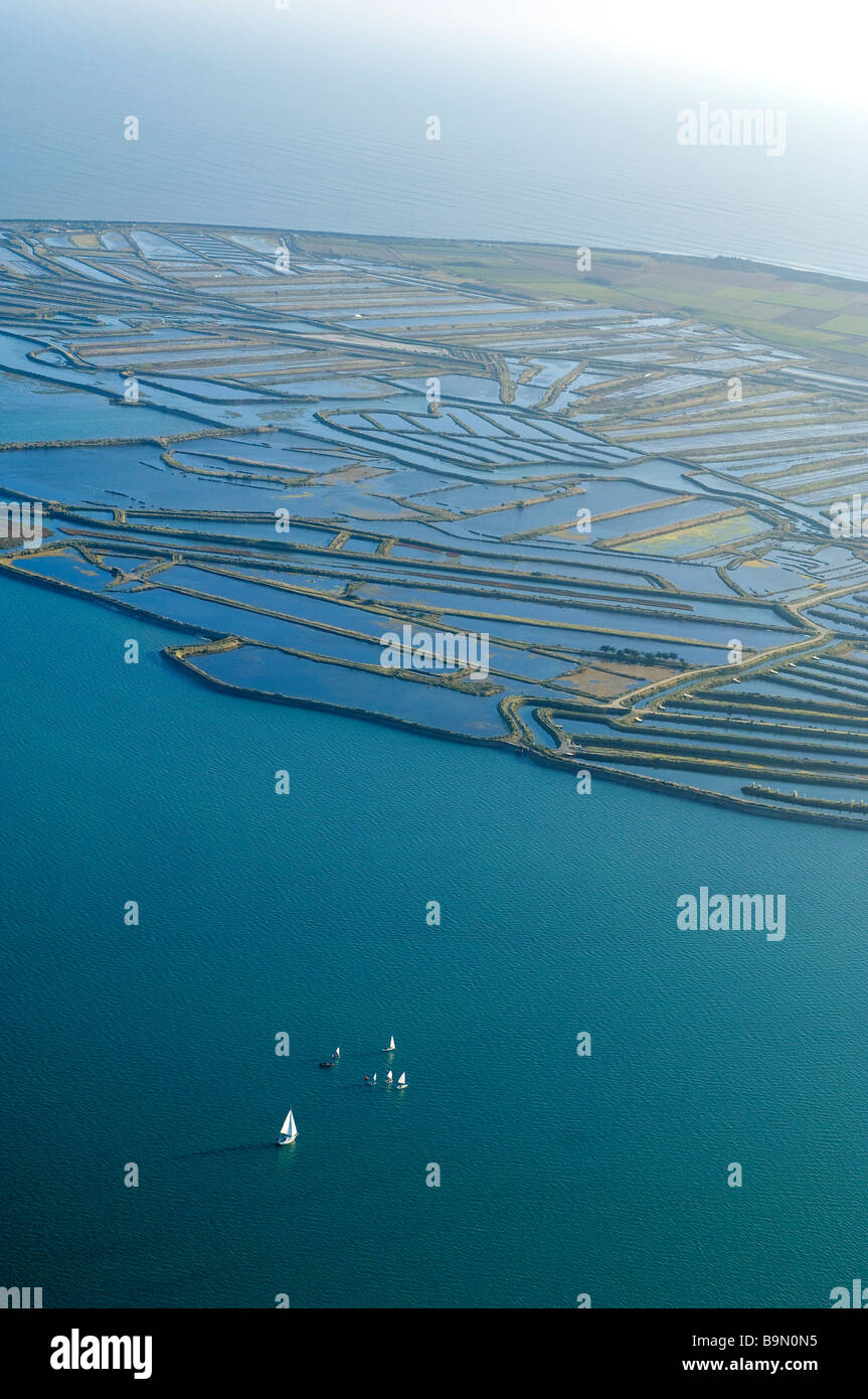 Francia, Charente Maritime, Ile de Re, Le Fier d Ars (vista aerea) Foto Stock