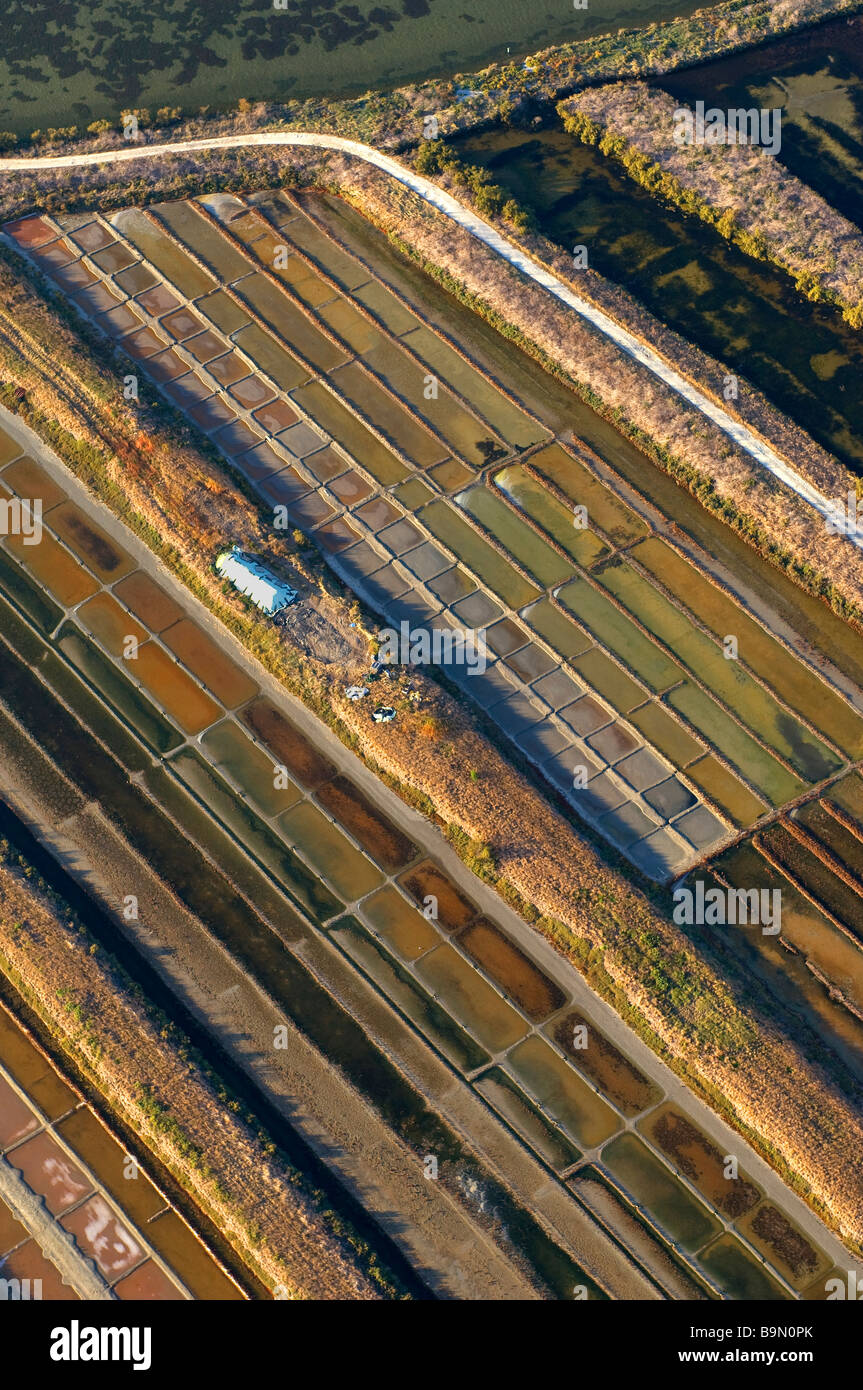 Francia, Charente Maritime, Ile de Re, Le Fier d Ars, marais salants (vista aerea) Foto Stock