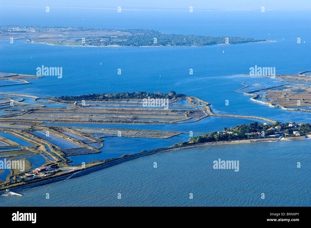 Francia, Charente Maritime, Ile de Re, Le Fier d Ars e la palude salata (vista aerea) Foto Stock