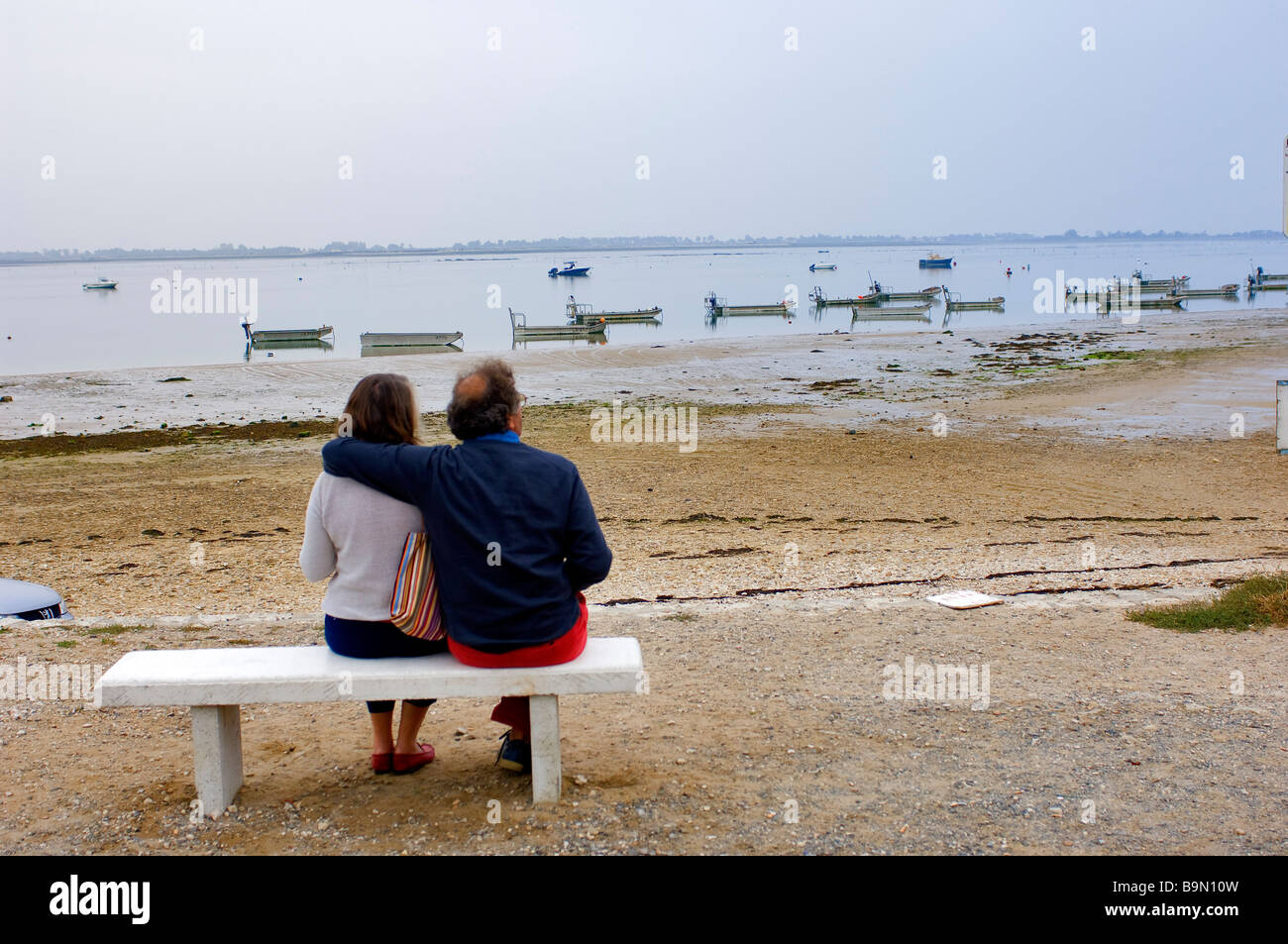 Francia, Charente Maritime, Ile de Re, Le Fier d Ars Foto Stock